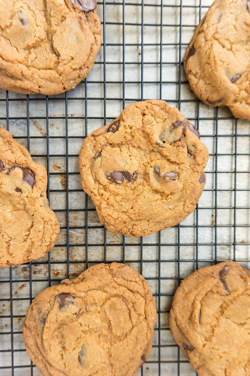 Crunchy Chocolate Chip Cookies on Cooling Rack