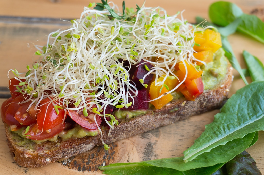 Healthy Avocado Toast with sprouts on top