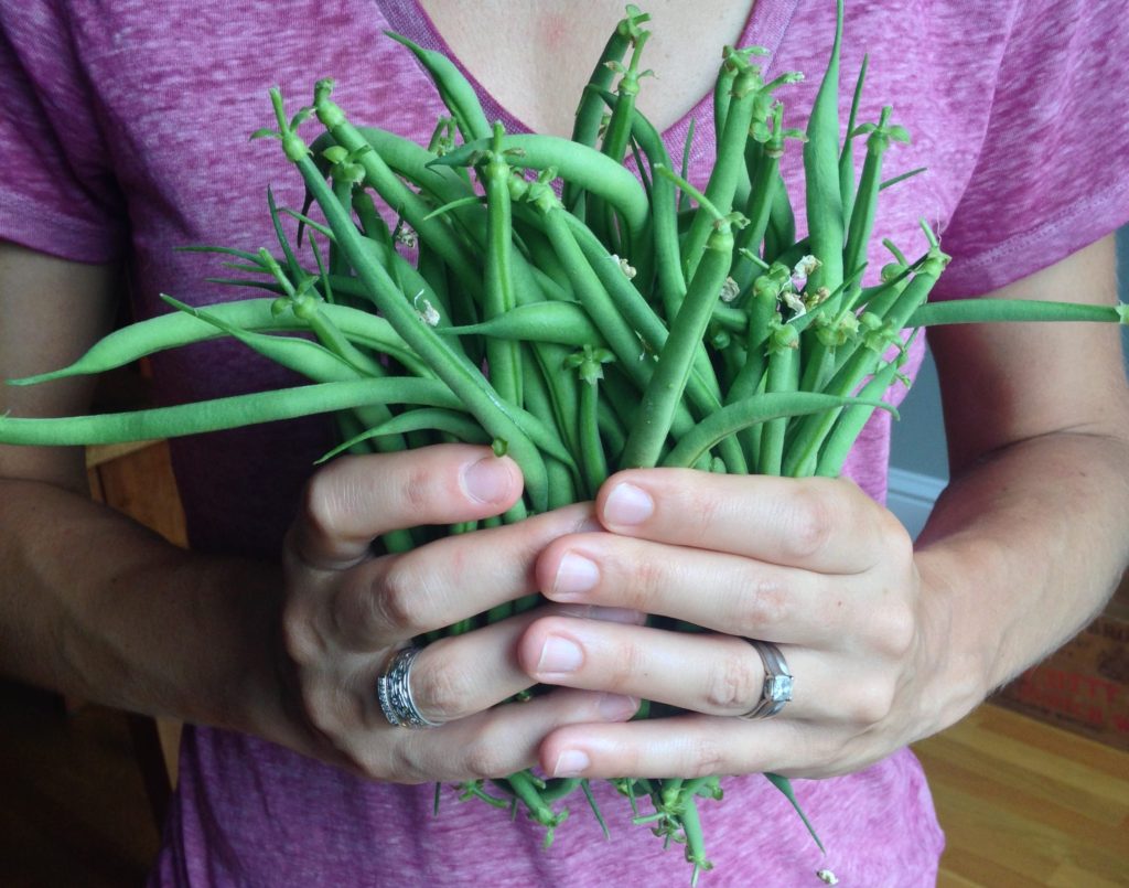 handful of garden green beans