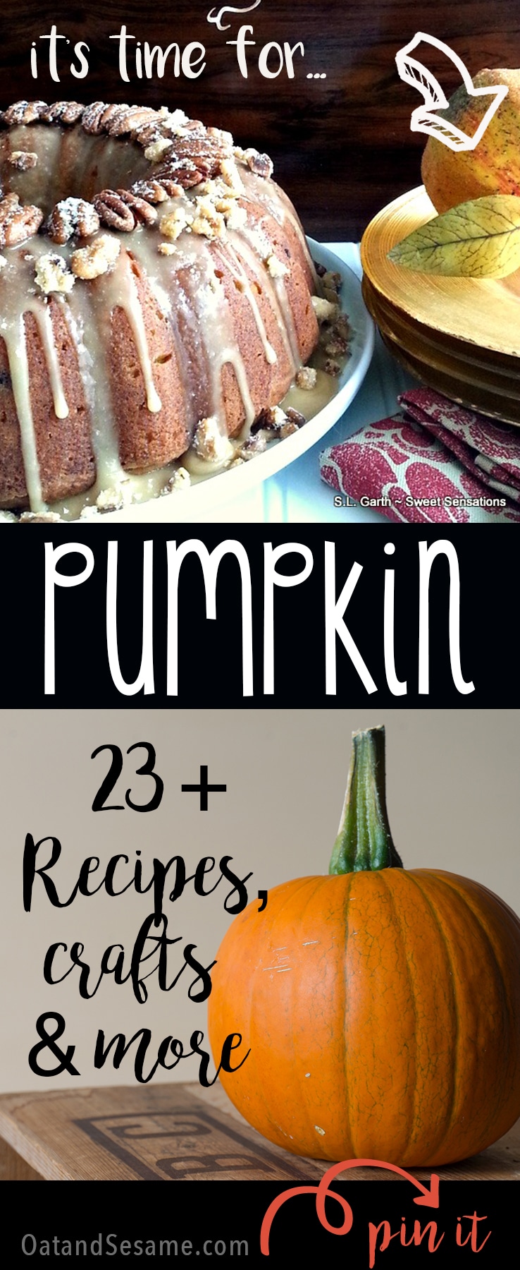 23 + Awesome Pumpkin Recipes, Crafts & More! Celebrate #Fall | Recipe at OatandSesame.com