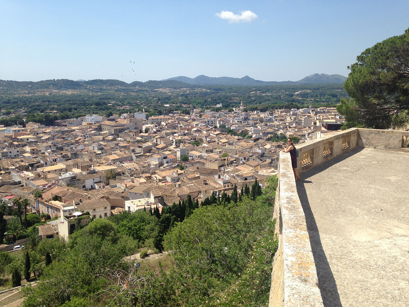 View of the town of Arta