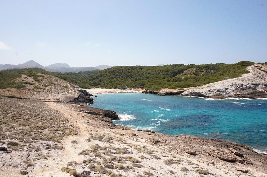 Beautiful Beach in Mallorca