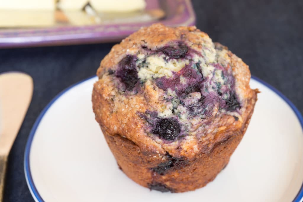 Vanilla Blueberry Muffin on plate