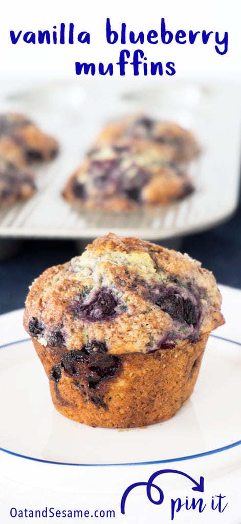 single blueberry muffin