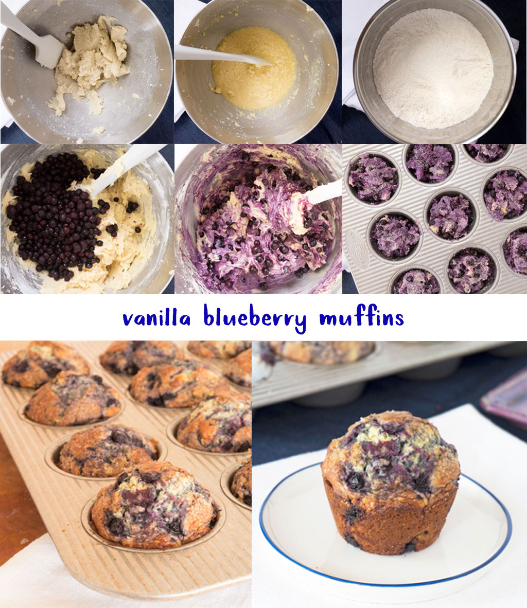 Step by Step Photos for How to Make Vanilla Blueberry Muffins