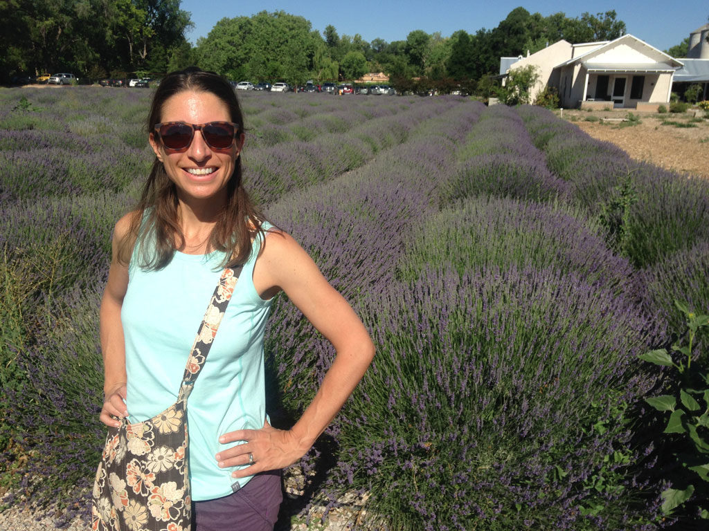 Lavender fields - Los Poblanos