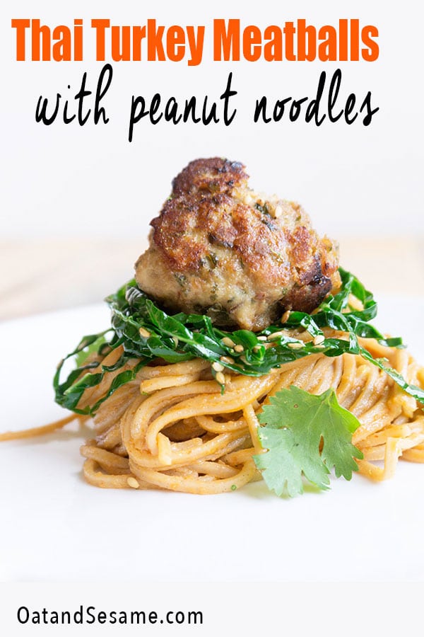 PEANUT NOODLES TOPPED WITH TURKEY MEATBALLS - A DELICIOUS DINNER RECIPE! Turkey Meatball on Peanut Noodles