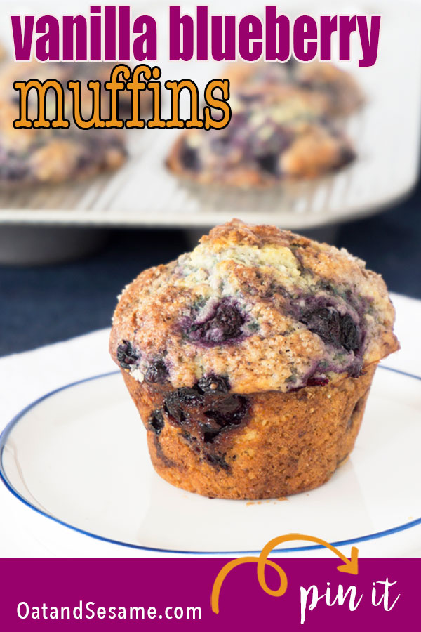 single blueberry muffin